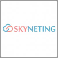 logo-skyneting