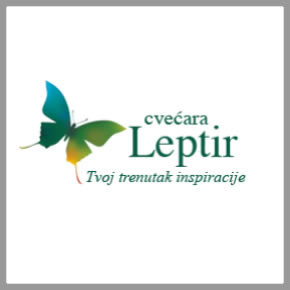 CVECARA LEPTIR