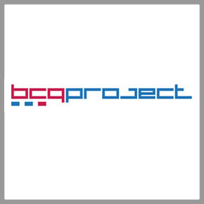 BCG PROJECT